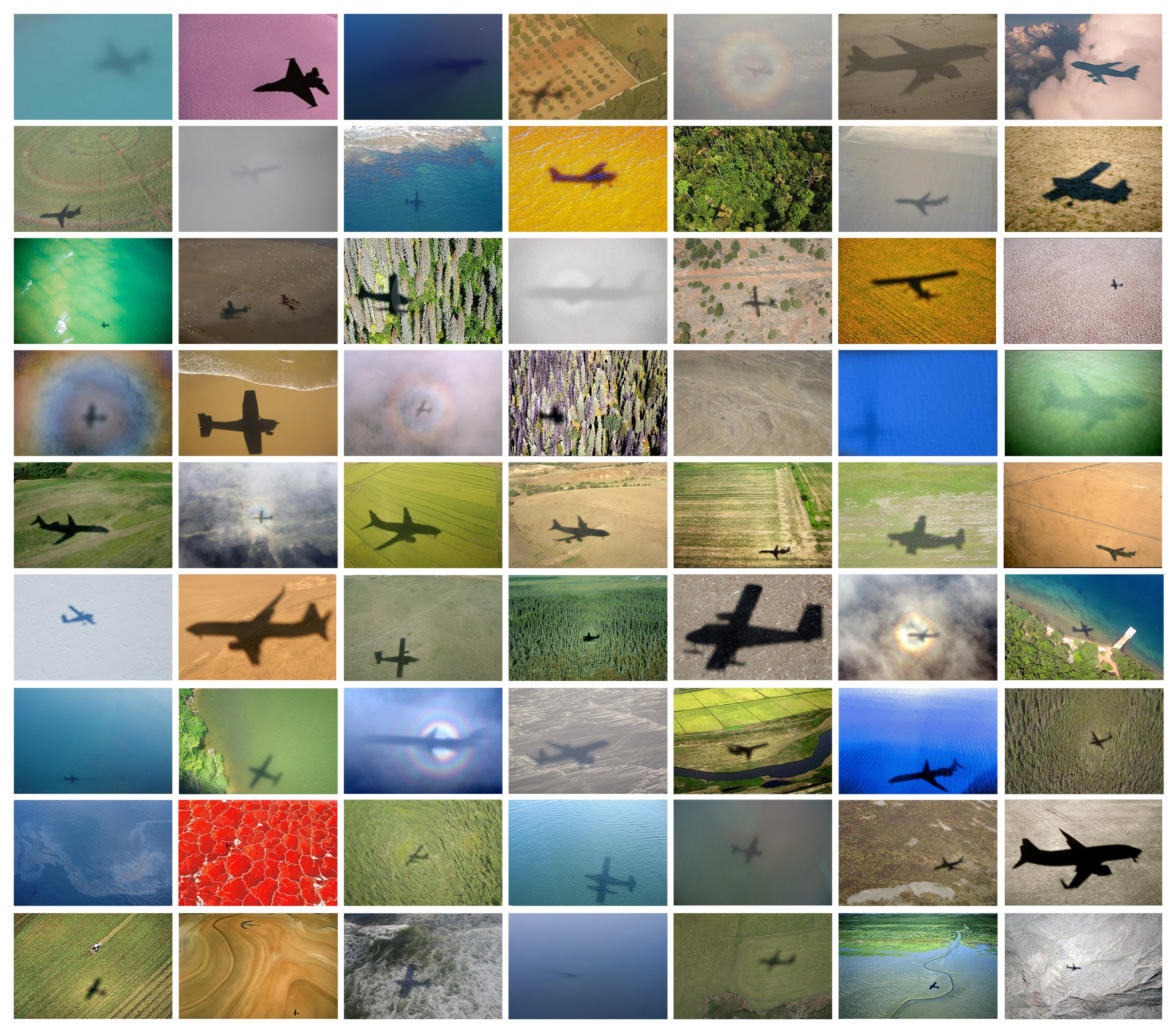 DAVID BIRKIN, Falls the Shadow