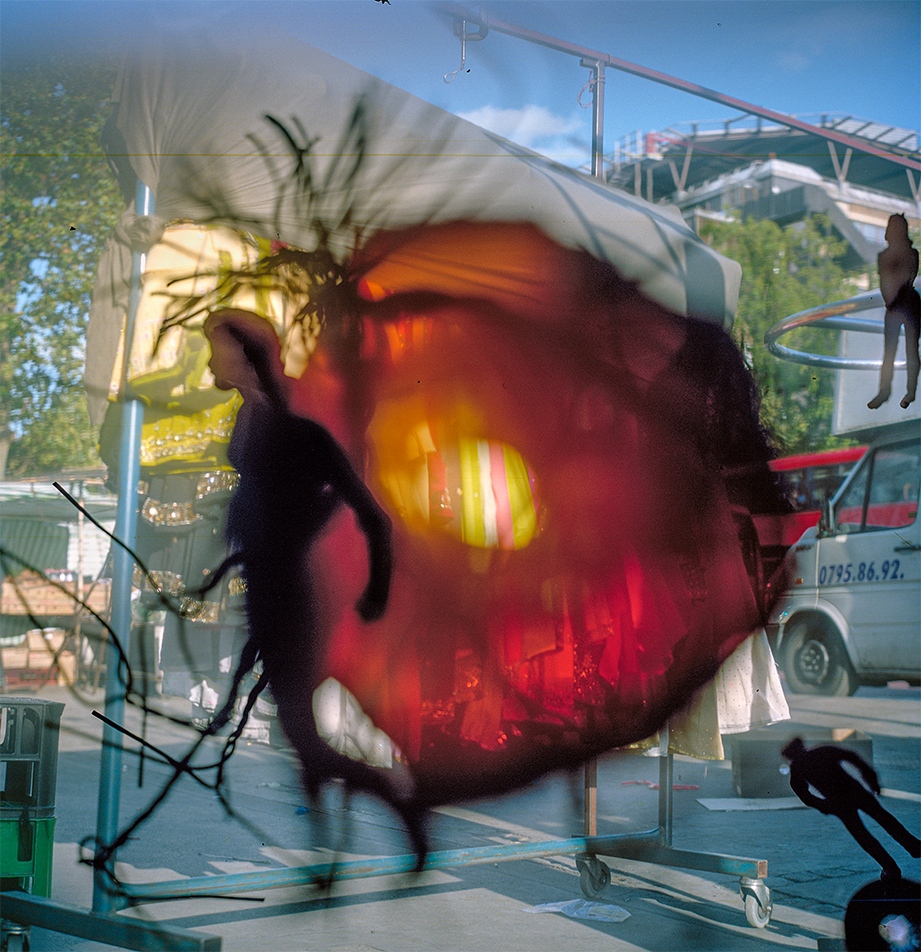 STEPHEN GILL, Talking to Ants, 2009